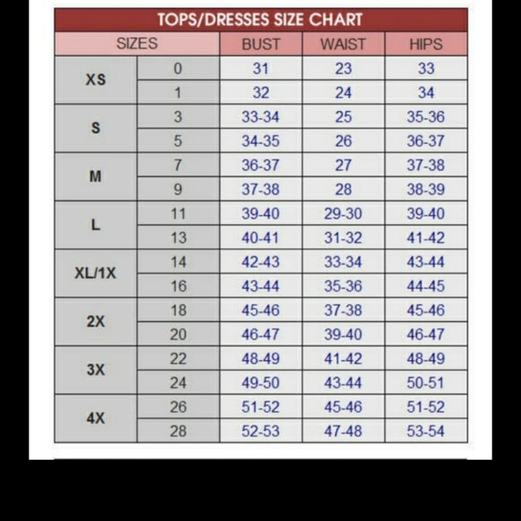 Women's Semi Sheer Top - Picture 3 of 3